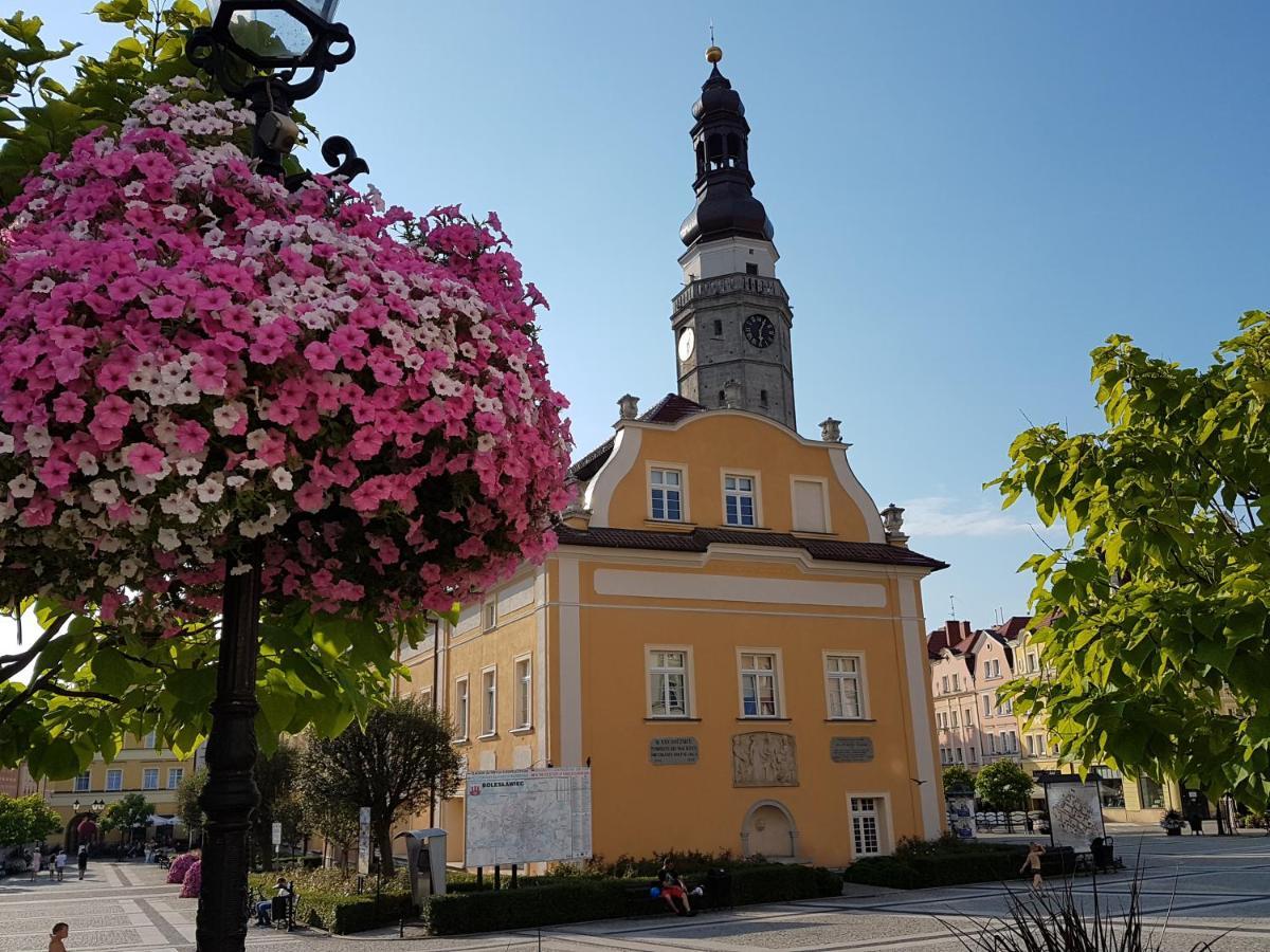 Apartament Przy Starowce - Hampton Boleslawiec  Kültér fotó