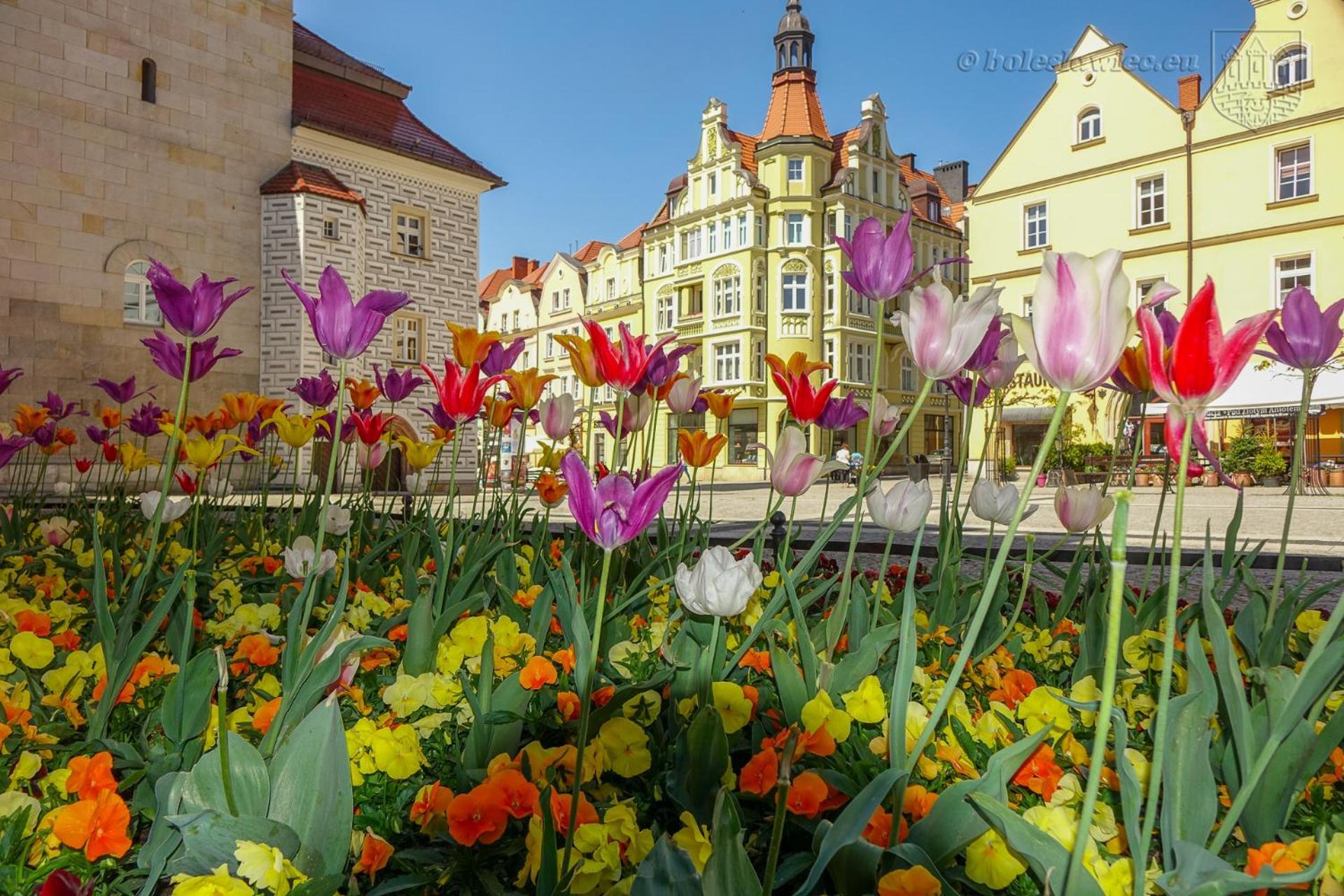 Apartament Przy Starowce - Hampton Boleslawiec  Kültér fotó